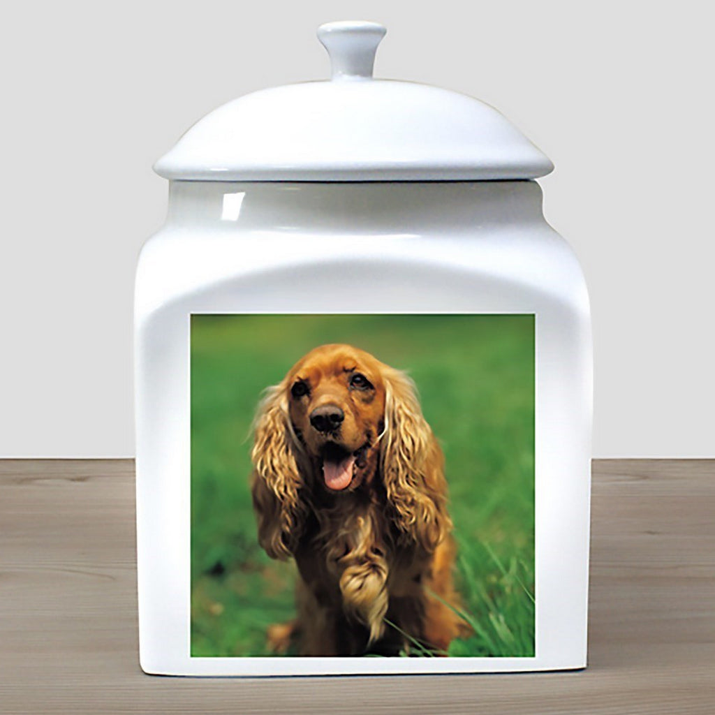 Custom printed photo ceramic dog urn with photo of a brown spaniel dog on white ceramic