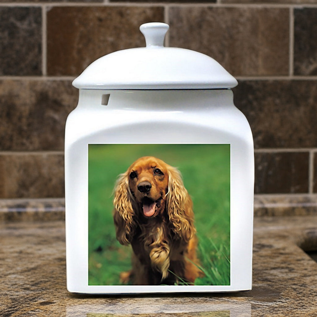 Custom printed photo ceramic dog urn with a photo of a brown dog on white ceramic