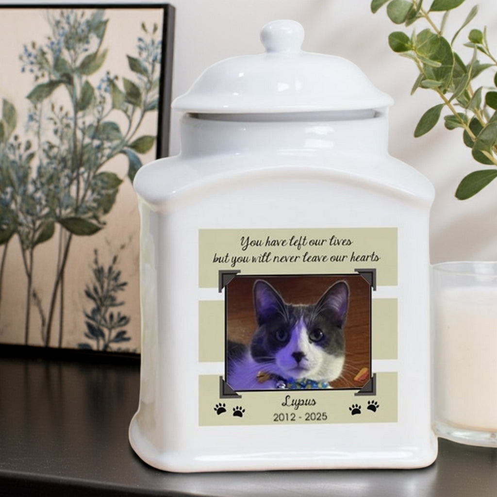 Personalized photo cat urn white ceramic with custom cat photo and paw prints