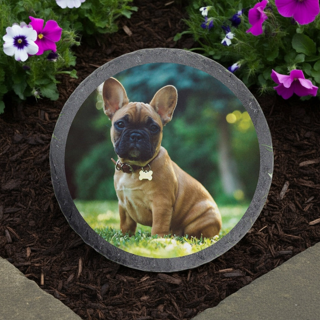 Round slate custom photo garden stone featuring a personalized image of a brown French Bulldog puppy in a garden