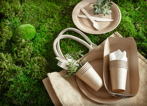 Decorating Tips for an Eco-Friendly Event