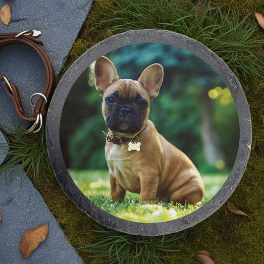 Round slate custom photo garden stone featuring a brown French Bulldog puppy sitting on grass